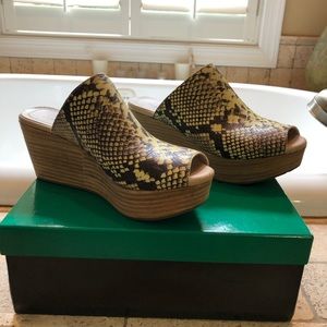 Chocolat Blu Snake Wedges